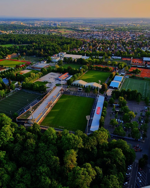 他的表现都 他的表现都