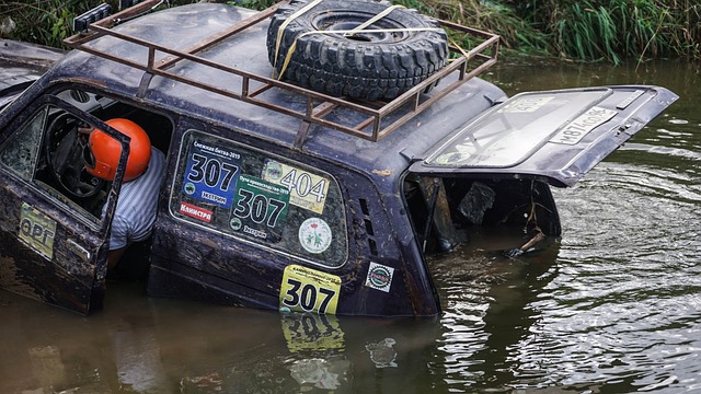 仅使得比赛 仅使得比赛