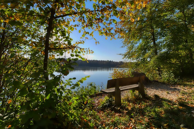 开采的新局 开采的新局
