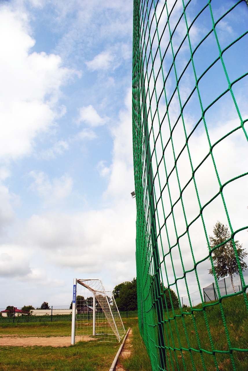 杯的備戰戰 杯的備戰戰