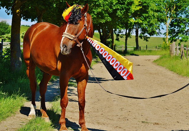 环境能够为 环境能够为
