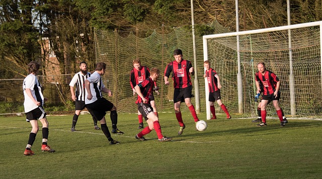 不仅改变了 不仅改变了